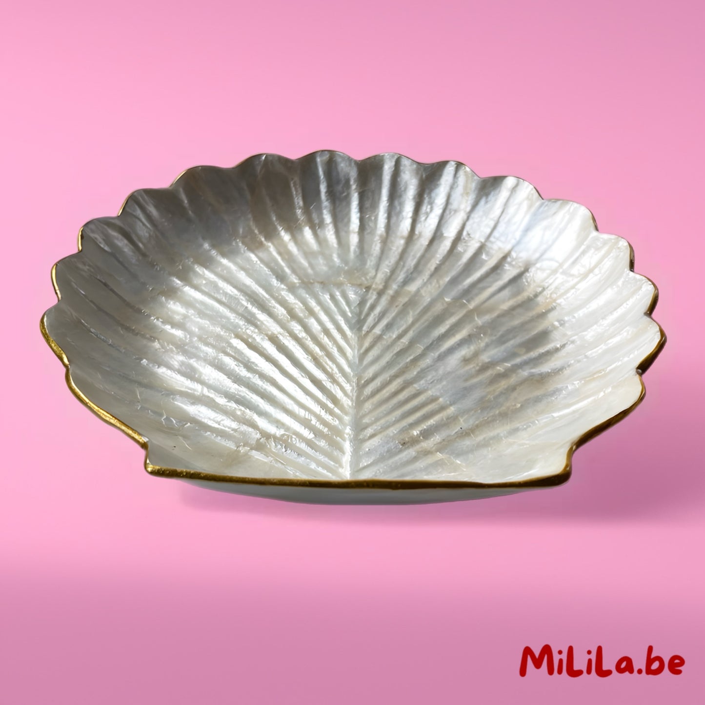 Natuurlijke glans van het handgemaakte parelmoer schaaltje