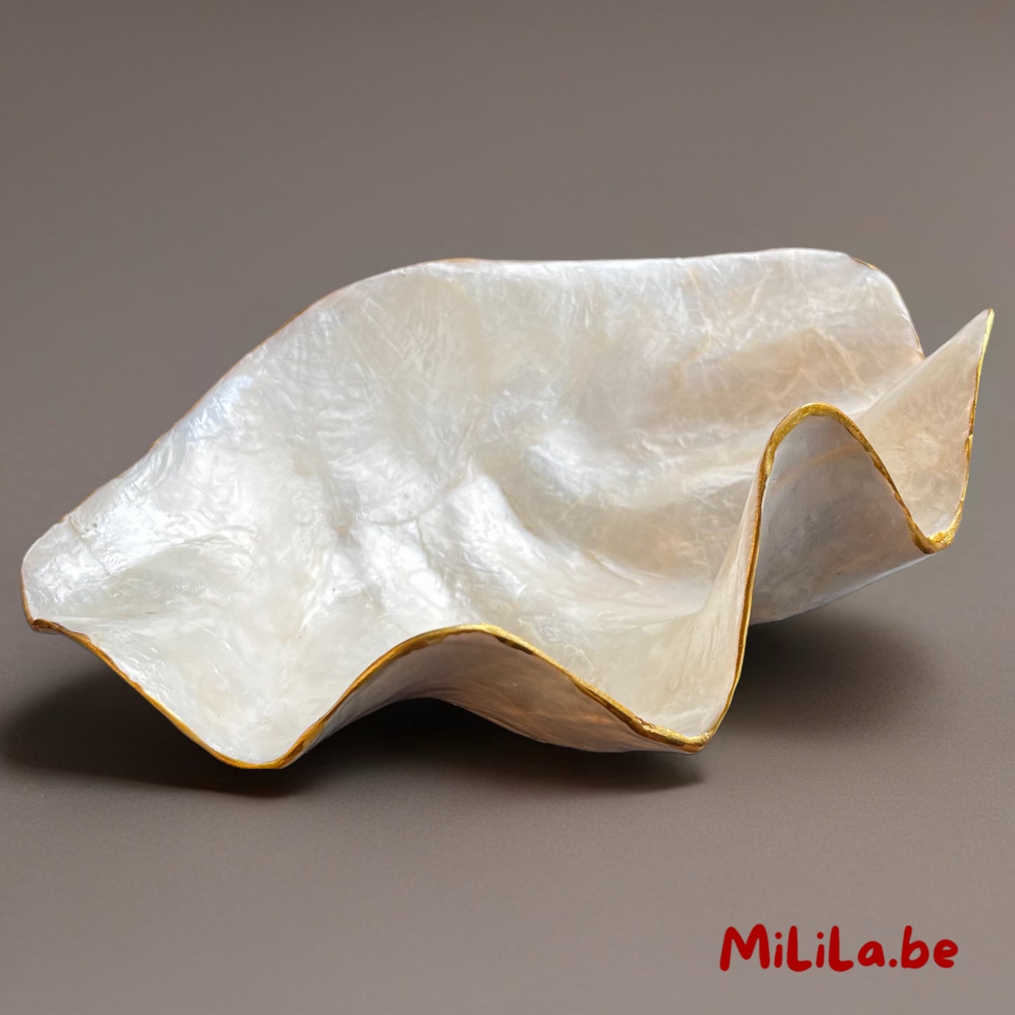 Detail van de glanzende parelmoerstructuur van het schaaltje uit Bali