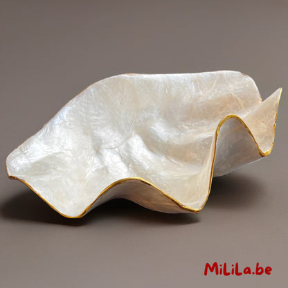 Detail van de glanzende parelmoerstructuur van het schaaltje uit Bali