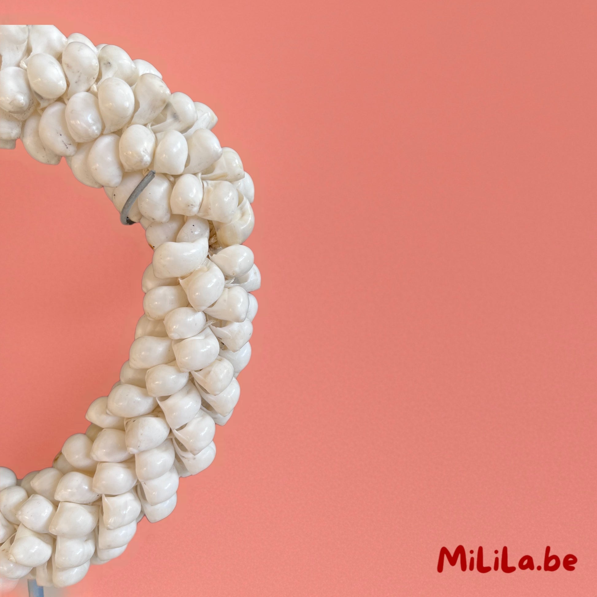 Close-up van de natuurlijke schelpen in het ornament van MiLiLa